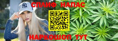 гашиш Новокубанск
