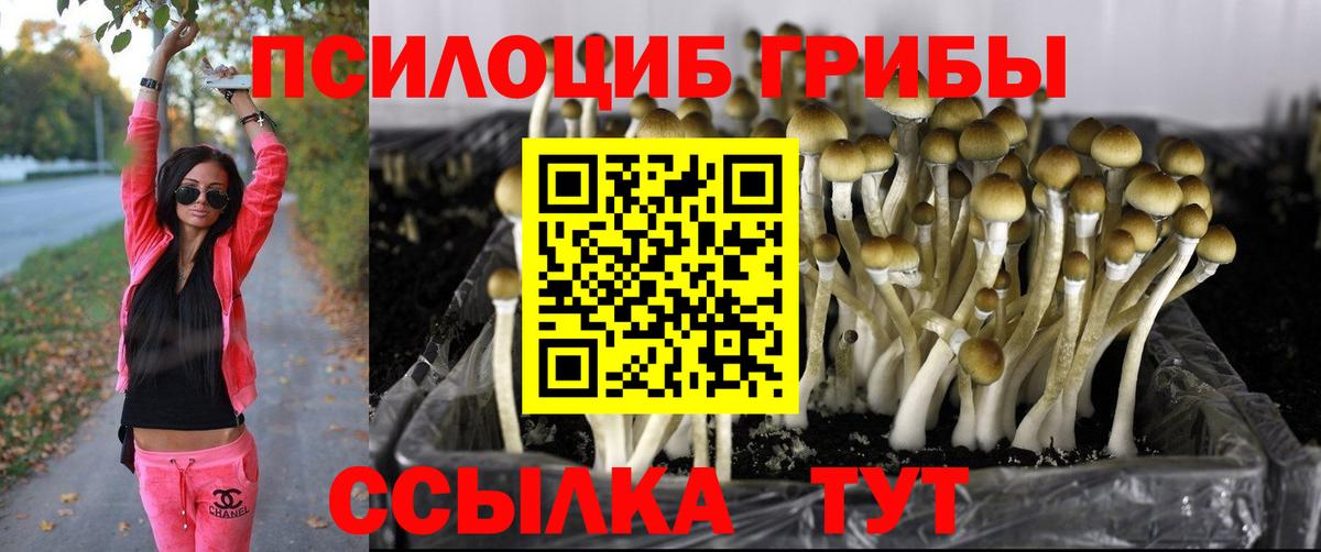 Псилоцибиновые грибы мицелий Сыктывкар