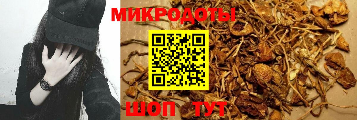 Галлюциногенные грибы Psilocybe  Вход с VPN  Сыктывкар 